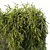 Outdoor Hanging Plant Collection 3D model small image 4