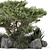 Outdoor Bush & Tree Garden Set 3D model small image 3