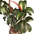 3D Plant and Decor Set 3D model small image 3