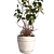 3D Plant and Decor Set 3D model small image 4