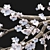 Cherry Blossom Tree Vol. 98 3D model small image 3