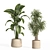 Potted Indoor Plant Set 80 3D model small image 2