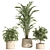 Potted Indoor Plant Set 80 3D model small image 3