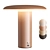 Modern Portable Battery Operated Lamp 3D model small image 3