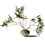 Exotic Branches in Clay Vase 3D model small image 1