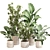 Greenery Oasis Plant Set 3D model small image 1