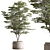 Pot Tree Outdoors Plant Unique 3D model small image 3