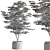 Pot Tree Outdoors Plant Unique 3D model small image 2