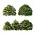 Title: Versatile Cypress Bush 3D Model 3D model small image 1