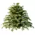 Title: Versatile Cypress Bush 3D Model 3D model small image 3