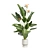 Exotic Indoor Plants Pack 72 3D model small image 1