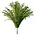 Cypress Bush Collection for 3D 3D model small image 2