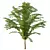 Cypress Bush Collection for 3D 3D model small image 4