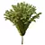 Cypress Bush Collection for 3D 3D model small image 5