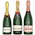 Luxury Champagne Bottle Collection 3D model small image 1