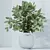 Indoor Plants Set 3D Models 3D model small image 5