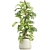 Green Oasis Indoor Plants Set 3D model small image 2