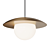 Dome LED Pendant Light Fixture 3D model small image 4