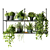 Hanging Shelf with Plants, Kitchen 3D model small image 3