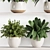 High-Quality Indoor Plant Shelf Set 3D model small image 2