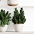 High-Quality Indoor Plant Shelf Set 3D model small image 3