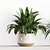 High-Quality Indoor Plant Shelf Set 3D model small image 4