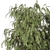 Bush & Tree Set 1358 2021 3D model small image 4