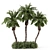 Palm Tree Plants Set 2378 3D model small image 1