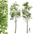 Spring Tree 3D Models Bundle 3D model small image 2