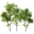 Spring Tree 3D Models Bundle 3D model small image 3