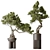  Bonsai Pine Thunbergii Set 3D model small image 1