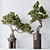  Bonsai Pine Thunbergii Set 3D model small image 2