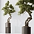  Bonsai Pine Thunbergii Set 3D model small image 6