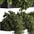 Hanging Indoor Plant 775 3D model small image 4