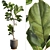 3D Plant & Decor Collection 3D model small image 1