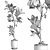 3D Plant & Decor Collection 3D model small image 6