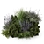 Outdoor Bush Set 3D Models 3D model small image 2