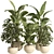 Concrete Pot Indoor Plant Set 3D model small image 1