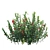 Versatile 3D Plant Models Set 3D model small image 2