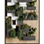 Corona Render 3D Vertical Garden 3D model small image 3