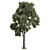 High-Quality Collection Eucalyptus Tree 3D model small image 2