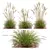 Grass Varieties 3D Models Bundle 3D model small image 2