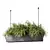 Modern Plant Hanging Trio Set 3D model small image 1