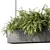 Modern Plant Hanging Trio Set 3D model small image 3