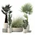 Rattan Pot Plants Collection: Palm, Grass, Cactus 3D model small image 4