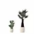 Rattan Pot Plants Collection: Palm, Grass, Cactus 3D model small image 6