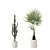 Rattan Pot Plants Collection: Palm, Grass, Cactus 3D model small image 7