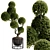 TurboSmooth Topiary Plant 30 3D model small image 9