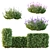 Spring Bush Hedge Set 3D model small image 1