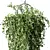 Modern Hanging Plant Set Trio 3D model small image 3